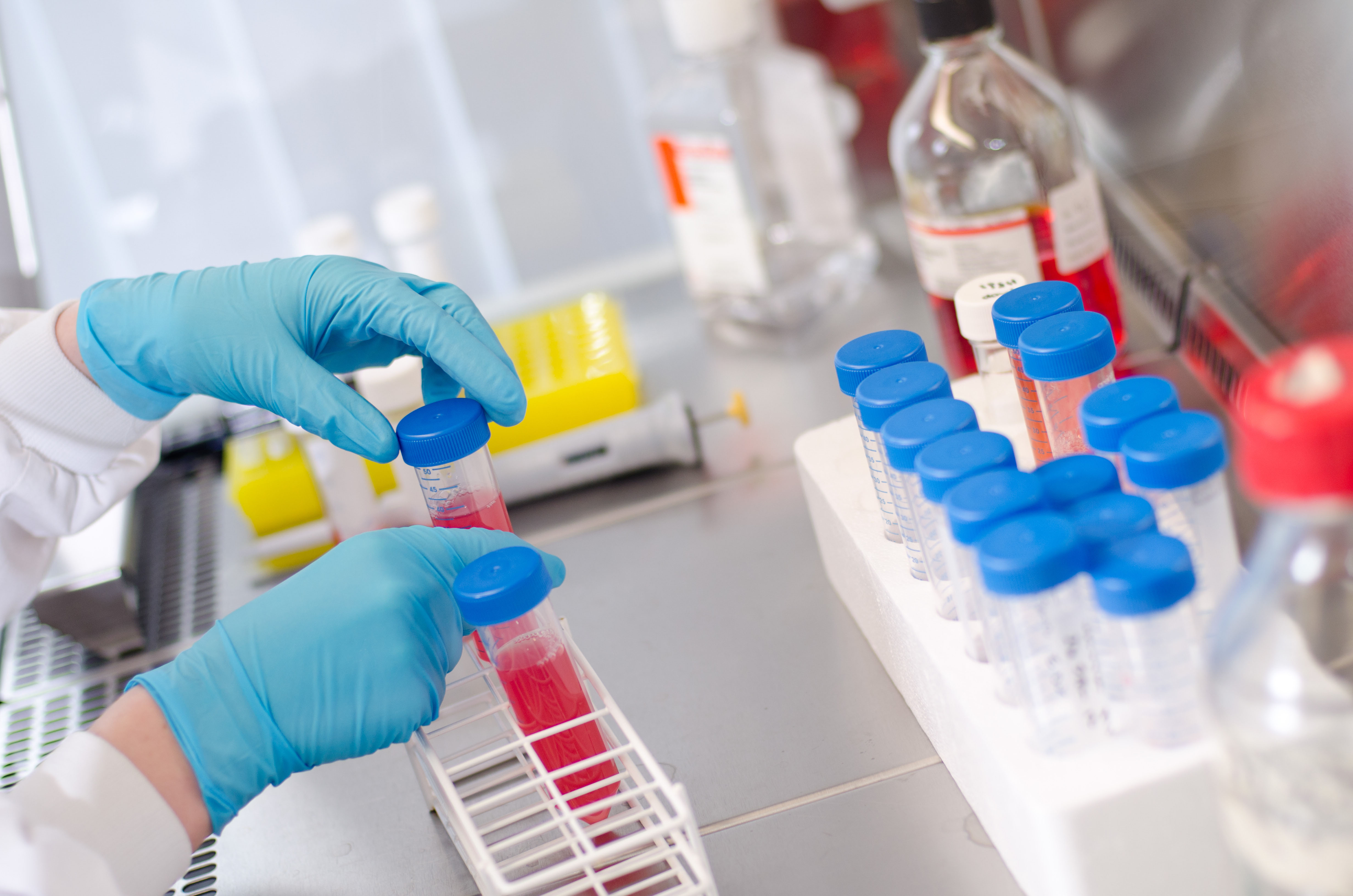 Glycomar forms part of the thriving marine science community in Argyll